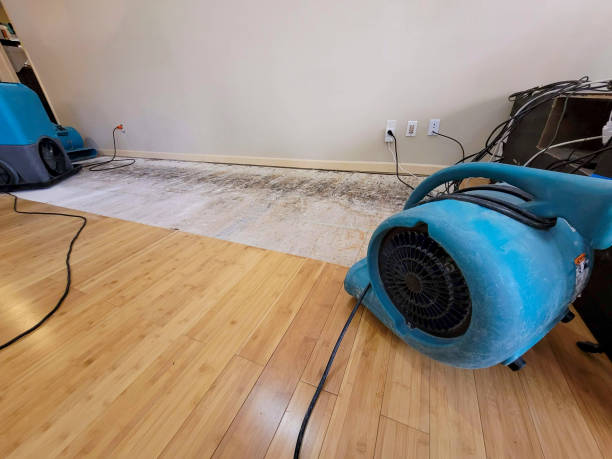 Professional Water Damage Repair technician working in Bowie, TX